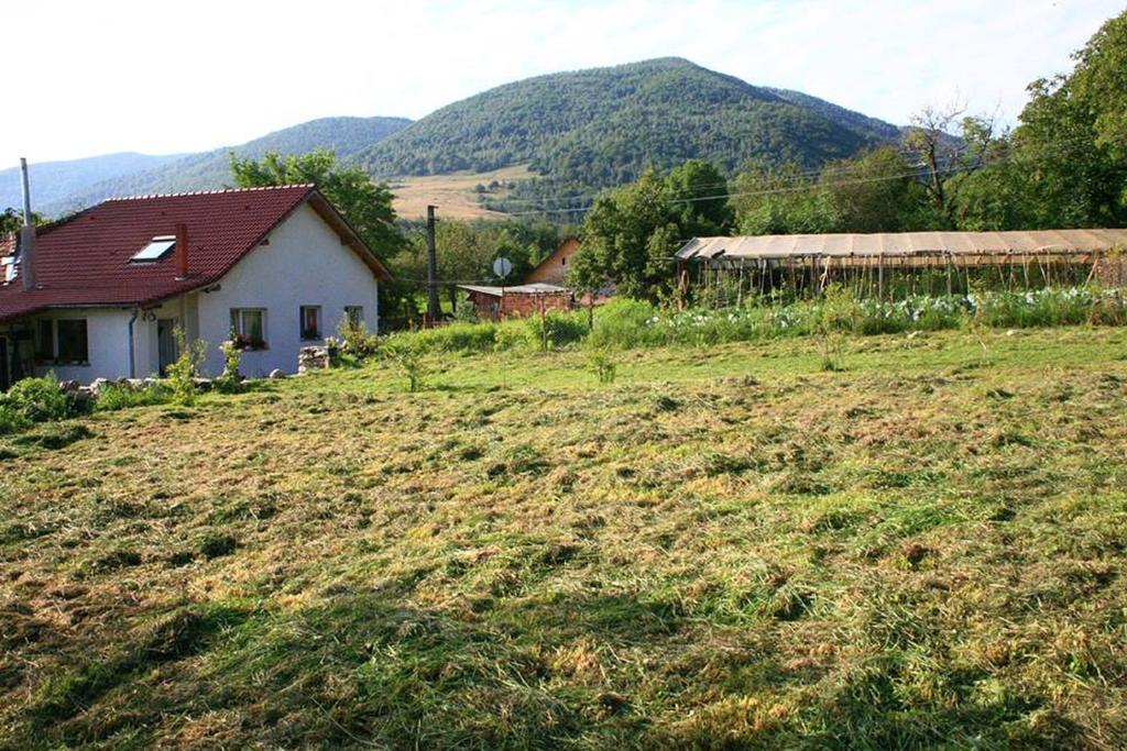 Cuibul Salamandrelor Hotel Sarmizegetusa Esterno foto