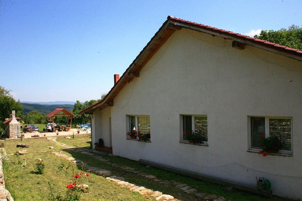 Cuibul Salamandrelor Hotel Sarmizegetusa Esterno foto