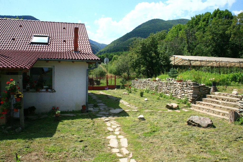 Cuibul Salamandrelor Hotel Sarmizegetusa Esterno foto