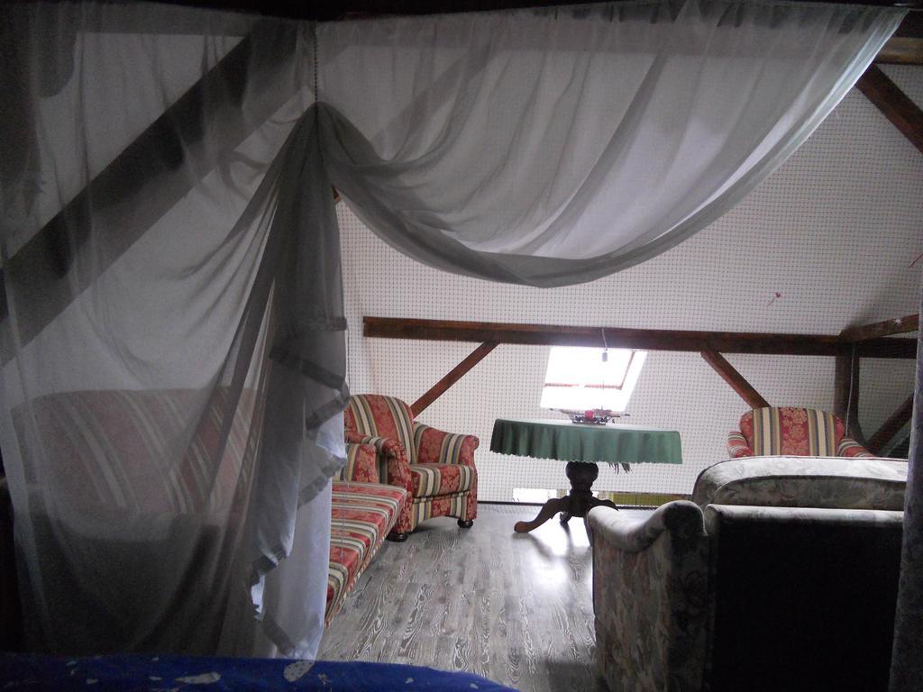 Cuibul Salamandrelor Hotel Sarmizegetusa Esterno foto