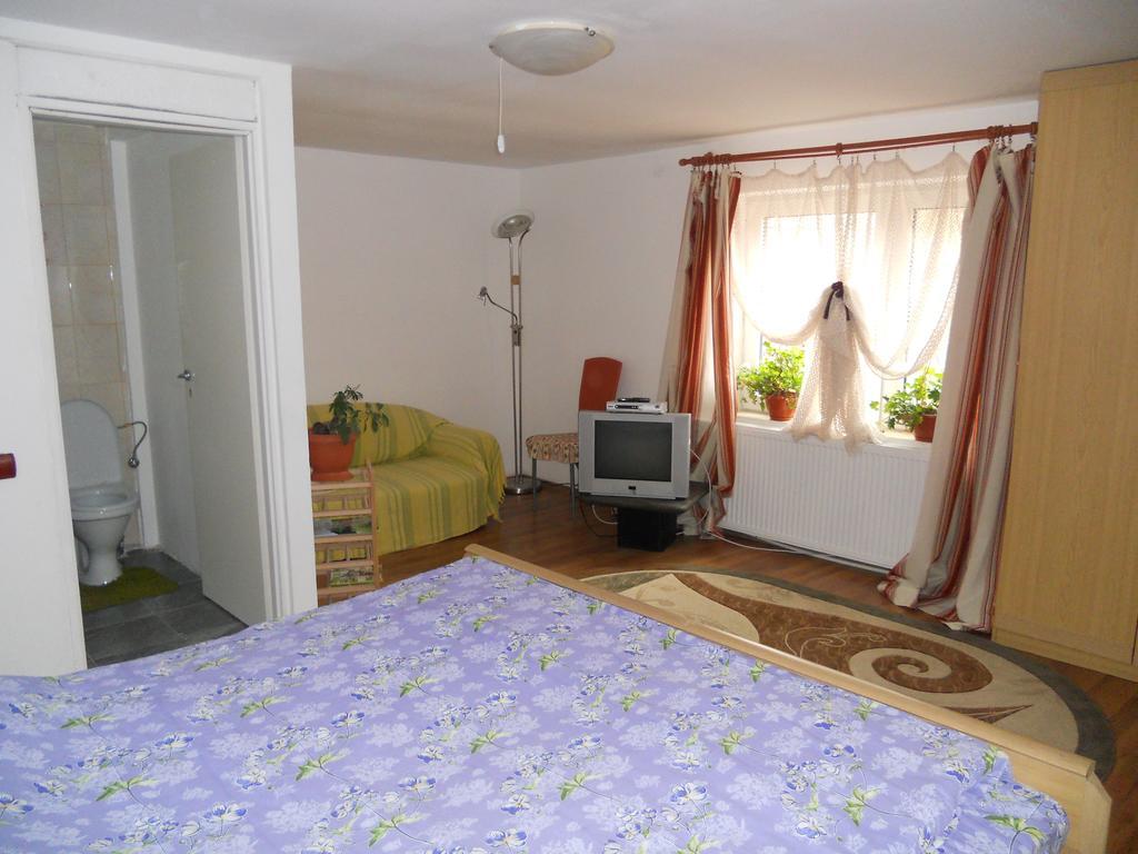 Cuibul Salamandrelor Hotel Sarmizegetusa Esterno foto
