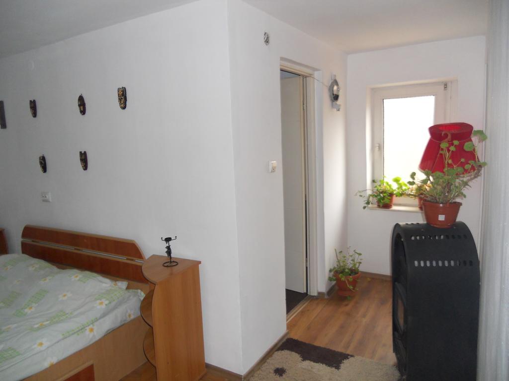 Cuibul Salamandrelor Hotel Sarmizegetusa Esterno foto