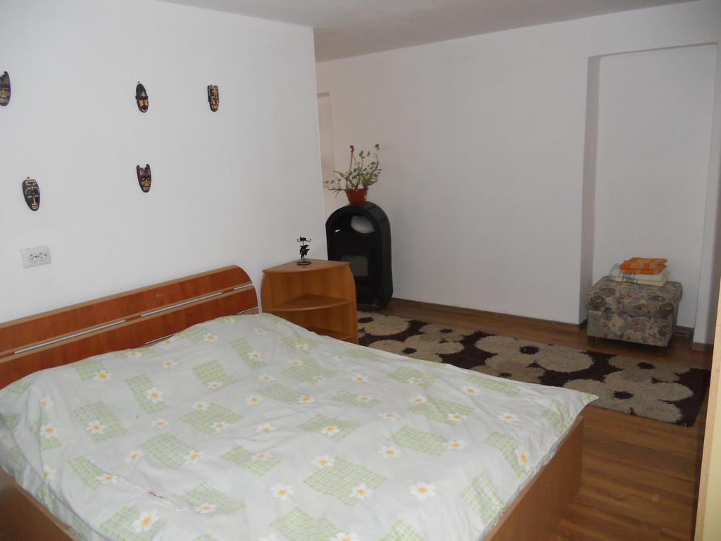 Cuibul Salamandrelor Hotel Sarmizegetusa Esterno foto