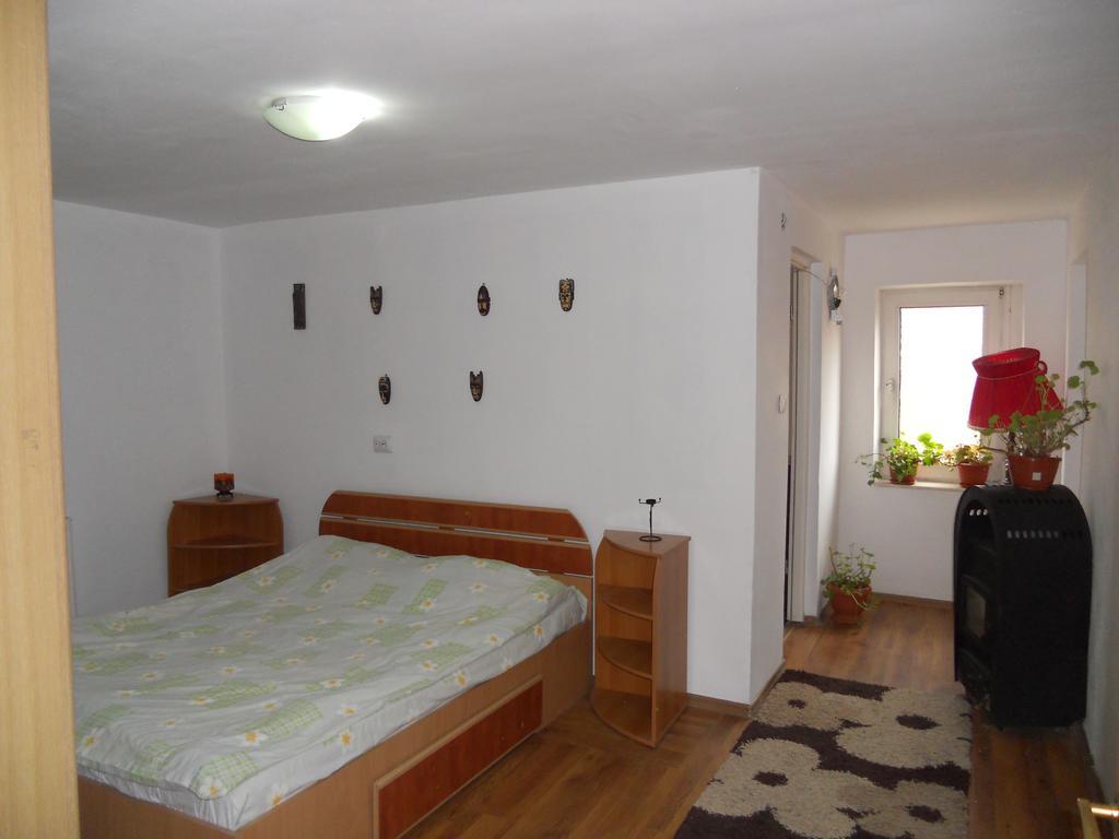 Cuibul Salamandrelor Hotel Sarmizegetusa Esterno foto