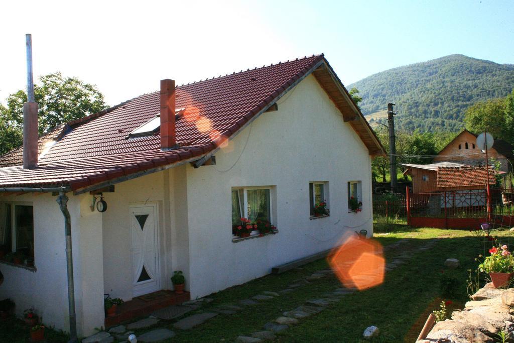 Cuibul Salamandrelor Hotel Sarmizegetusa Esterno foto